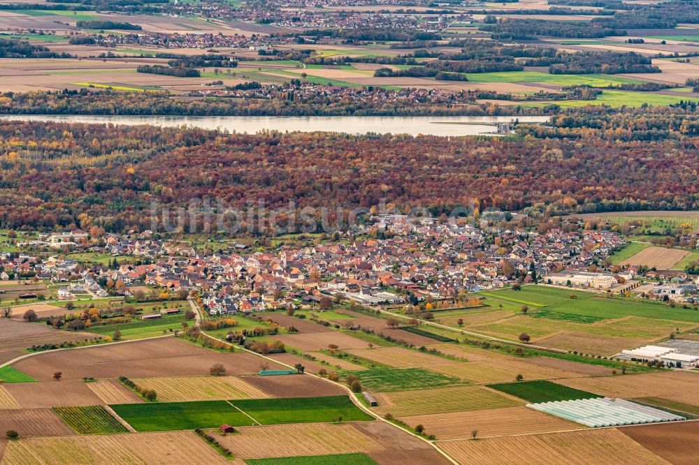 Luftaufnahme Weisweil - Ortsansicht Zentrum in Weisweil im Bundesland Baden-Württemberg, Deutschland