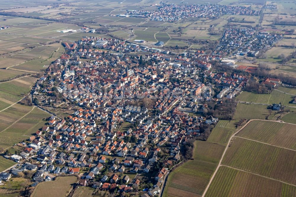 Deidesheim aus der Vogelperspektive: Ortsbereich und Umgebung in Deidesheim mit Haardtrand im Bundesland Rheinland-Pfalz