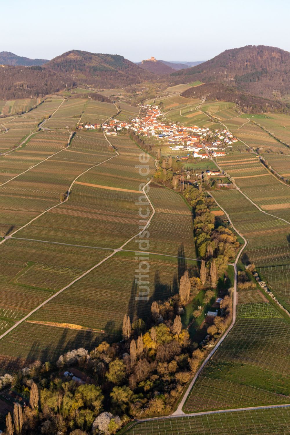 Birkweiler aus der Vogelperspektive: Ortsbereich am Weinbaugebiet in Birkweiler im Bundesland Rheinland-Pfalz, Deutschland