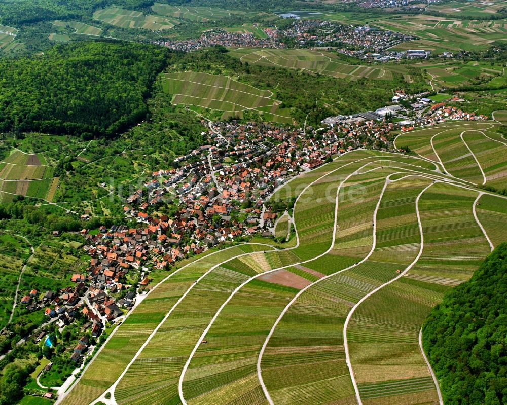 Strümpfelbach aus der Vogelperspektive: Ortsbereich am Weinbaugebiet in Strümpfelbach im Bundesland Baden-Württemberg, Deutschland