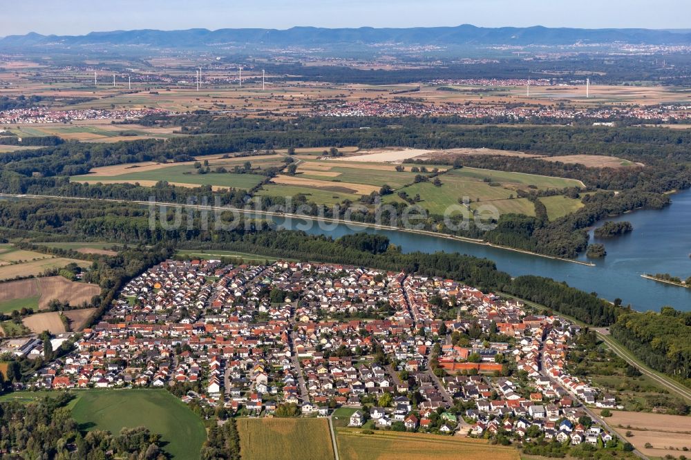 Luftaufnahme Rheinhausen - Ortschaft an den Fluss- Uferbereichen des Rhein in Rheinhausen im Bundesland Baden-Württemberg, Deutschland