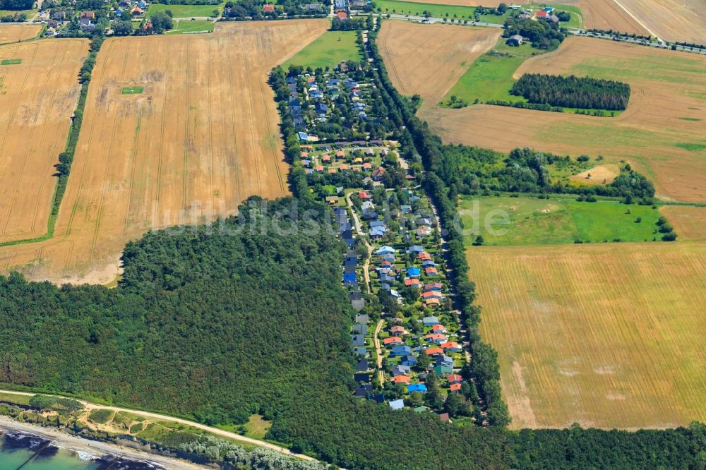 Ahrenshoop von oben - Ortskern am Uferbereich von Niehagen in Ahrenshoop im Bundesland Mecklenburg-Vorpommern, Deutschland