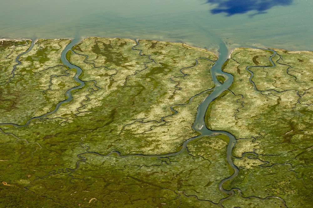 Luftbild Norderney - Ostheller- Landschaft und Salzwiesen mit Prilen im Wattenmeer der Insel Norderney als Bestandteil der Ostfriesischen Inseln der Nordsee im Bundesland Niedersachsen