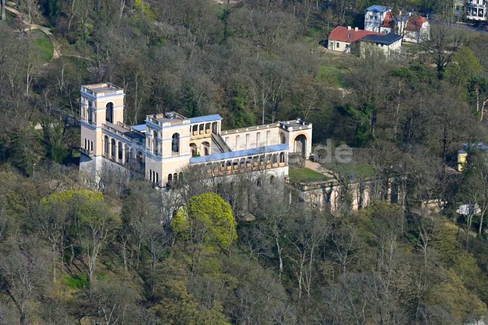 Luftaufnahme Potsdam - Palais des Schloss Belvedere auf dem Pfingstberg in Potsdam im Bundesland Brandenburg