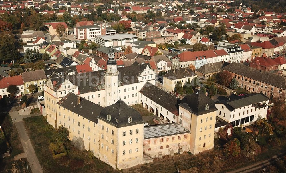 Coswig (Anhalt) von oben - Palais des Schloss in Coswig (Anhalt) im Bundesland Sachsen-Anhalt, Deutschland