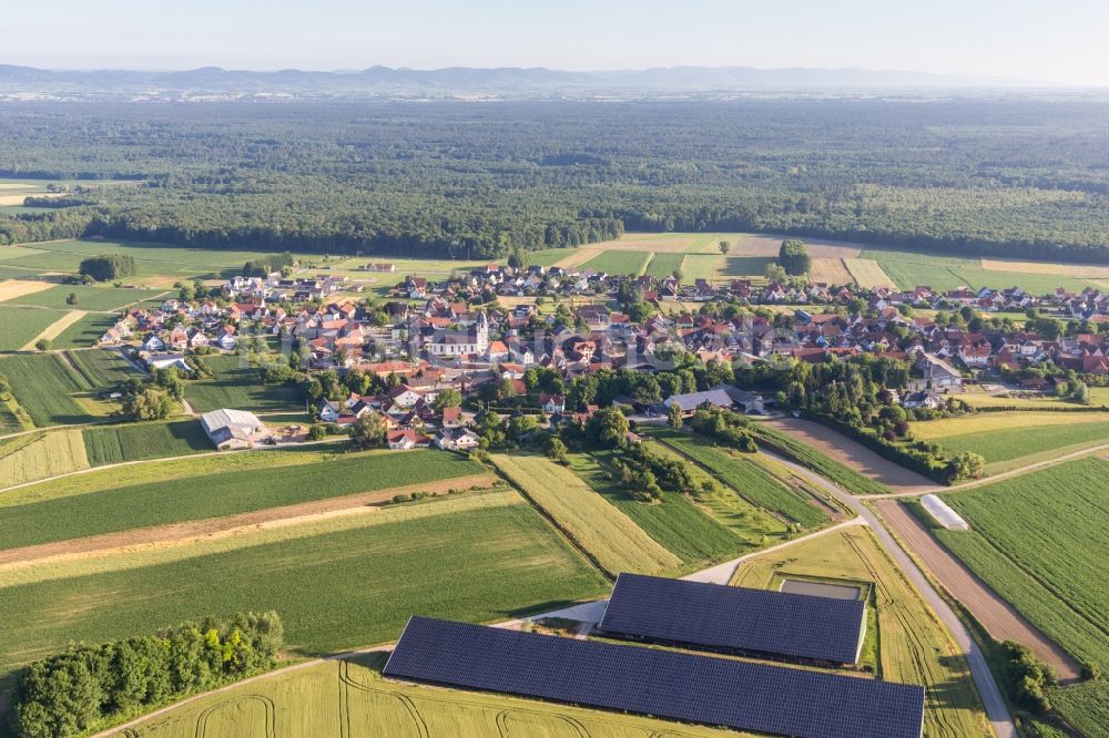 Luftaufnahme Niederlauterbach - Panelreihen der Photovoltaikanlage auf dem Dach von landwirtschalftlichen Scheunen in Niederlauterbach in Grand Est, Frankreich