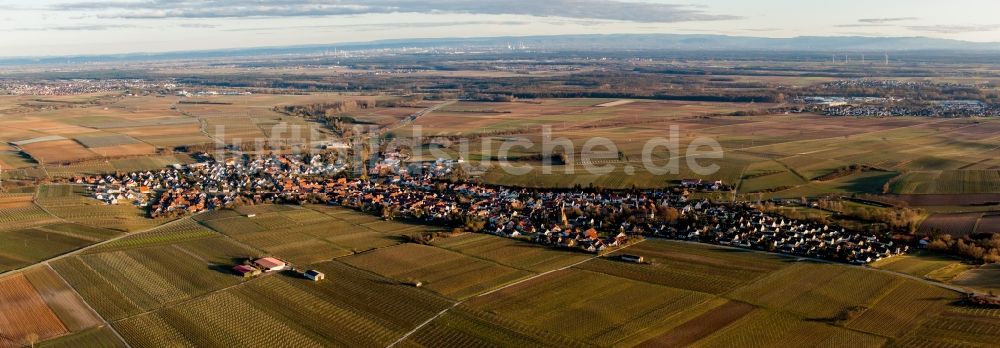 Insheim von oben - Panorama der Dorf - Ansicht in Insheim im Bundesland Rheinland-Pfalz, Deutschland