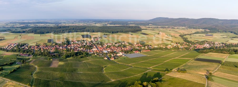 Steinseltz von oben - Panorama Dorf - Ansicht am Rande von Feldern in Steinseltz in Grand Est, Frankreich