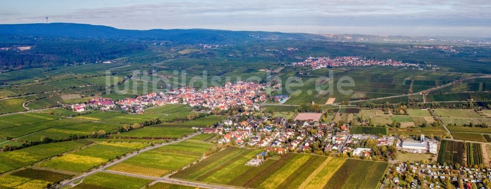 Luftbild Kallstadt - Panorama der Dorf - Ansicht am Rande von Weinbergen am Haardtrand in Kallstadt im Bundesland Rheinland-Pfalz, Deutschland
