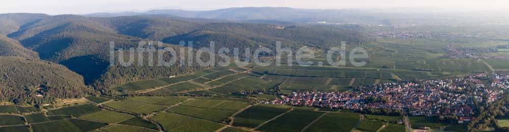 Deidesheim aus der Vogelperspektive: Panorama vom Ortsbereich und Umgebung in Deidesheim mit Haardtrand im Bundesland Rheinland-Pfalz
