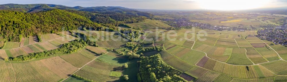 Wissembourg aus der Vogelperspektive: Panorama der Weinbergs- Landschaft der Weinlage Sonnenberg in Wissembourg in Grand Est, Frankreich
