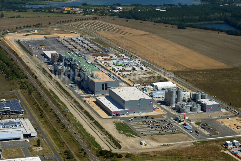 Sandersdorf aus der Vogelperspektive: Papierfabrik der Progroup AG in Sandersdorf - Brehna im Bundesland Sachsen-Anhalt, Deutschland