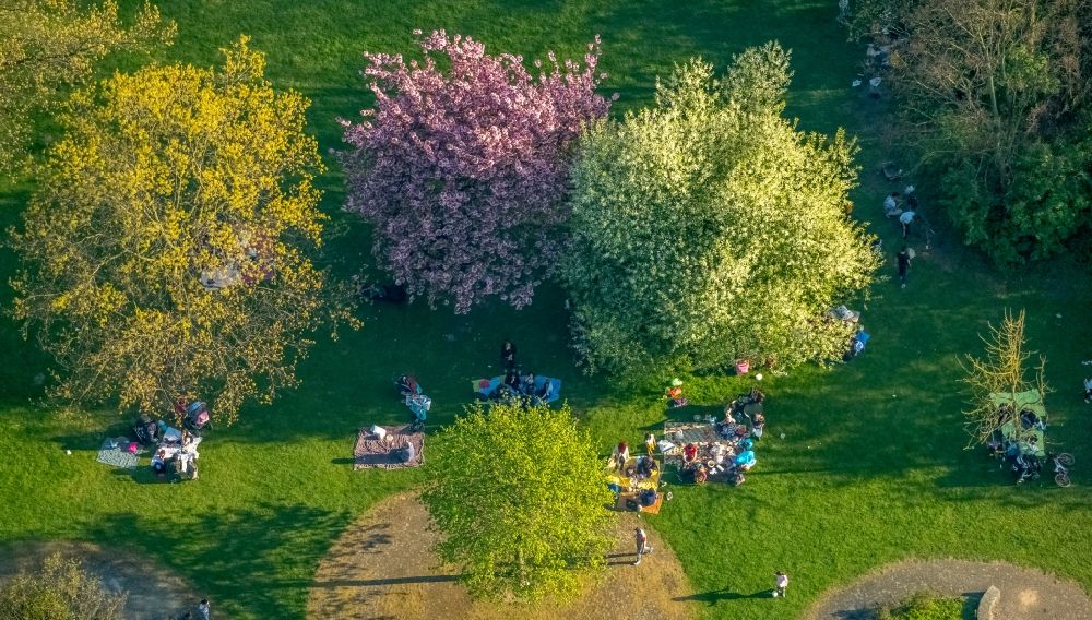 Duisburg aus der Vogelperspektive: Parkanlage mit Besuchern unter einer Baumgruppe in Frühjahrsblüte im Ortsteil Meiderich-Beeck in Duisburg im Bundesland Nordrhein-Westfalen