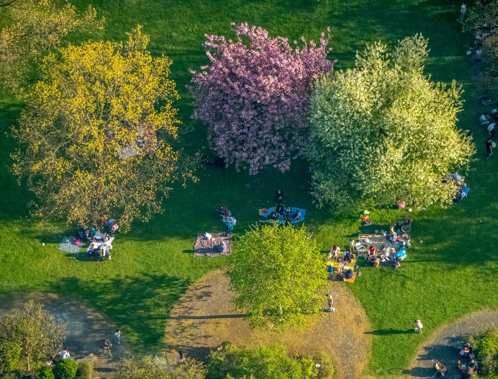 Luftbild Duisburg - Parkanlage mit Besuchern unter einer Baumgruppe in Frühjahrsblüte im Ortsteil Meiderich-Beeck in Duisburg im Bundesland Nordrhein-Westfalen
