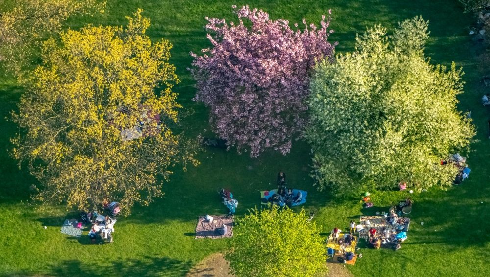 Luftaufnahme Duisburg - Parkanlage mit Besuchern unter einer Baumgruppe in Frühjahrsblüte im Ortsteil Meiderich-Beeck in Duisburg im Bundesland Nordrhein-Westfalen