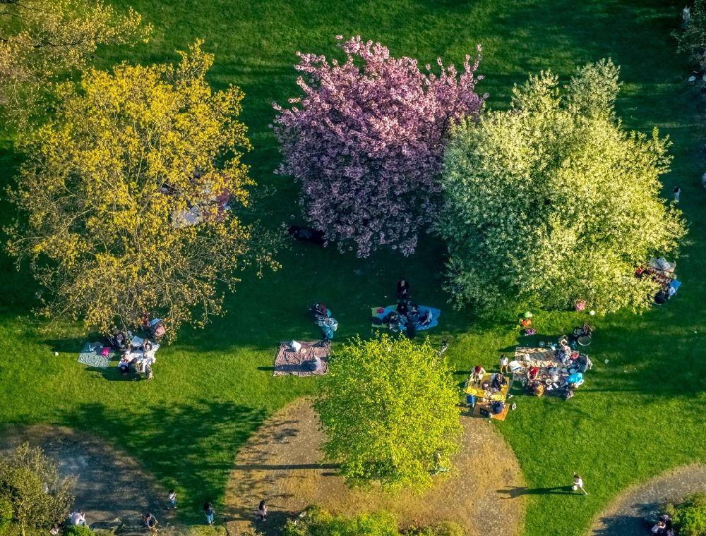 Duisburg von oben - Parkanlage mit Besuchern unter einer Baumgruppe in Frühjahrsblüte im Ortsteil Meiderich-Beeck in Duisburg im Bundesland Nordrhein-Westfalen
