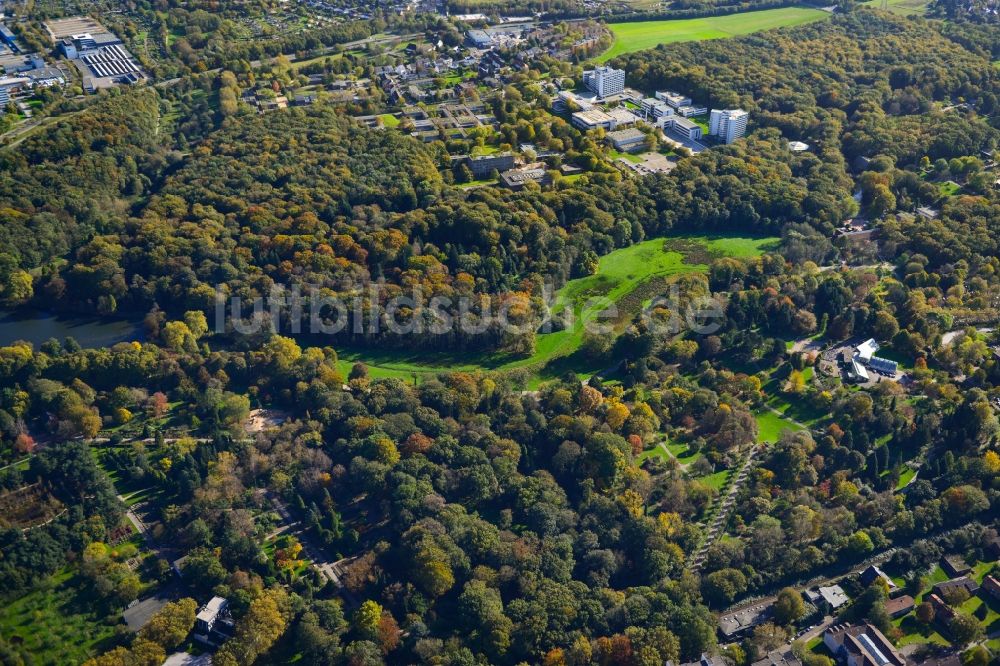 Dortmund von oben - Parkanlage des Botanischen Garten Rombergpark in Dortmund im Bundesland Nordrhein-Westfalen