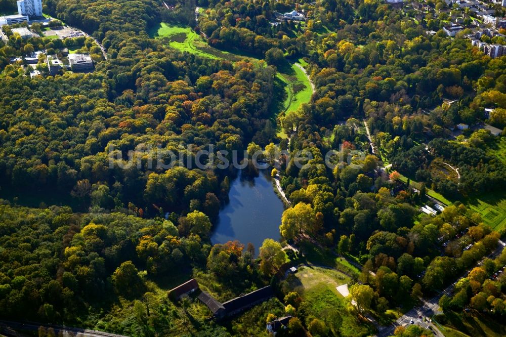 Luftaufnahme Dortmund - Parkanlage des Botanischen Garten Rombergpark in Dortmund im Bundesland Nordrhein-Westfalen