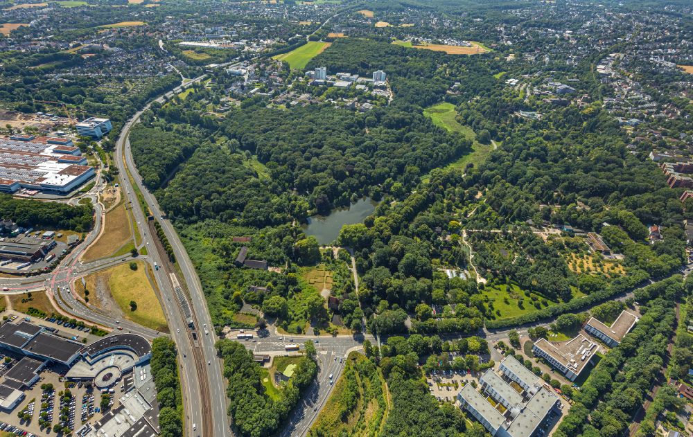 Luftbild Dortmund - Parkanlage des Botanischen Garten Rombergpark in Dortmund im Bundesland Nordrhein-Westfalen