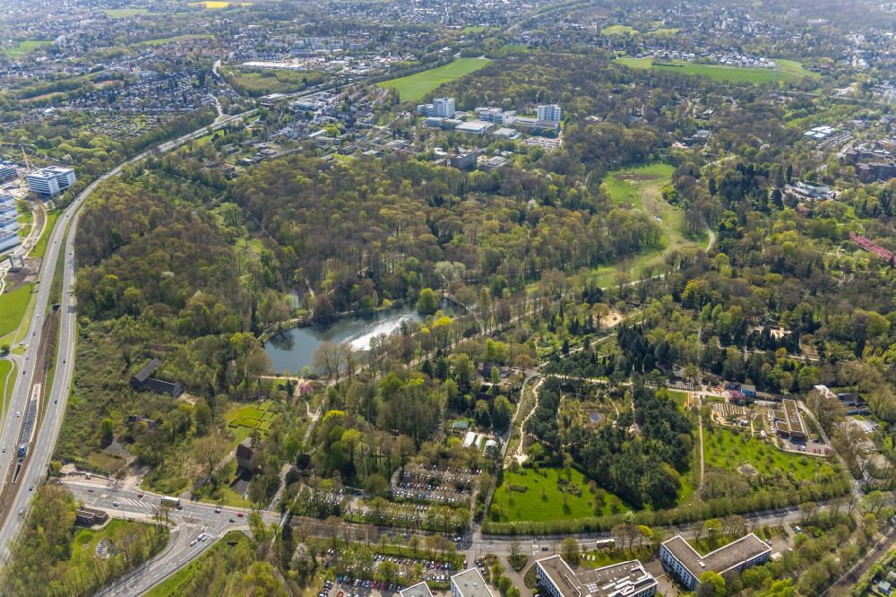 Dortmund aus der Vogelperspektive: Parkanlage des Botanischen Garten Rombergpark in Dortmund im Bundesland Nordrhein-Westfalen