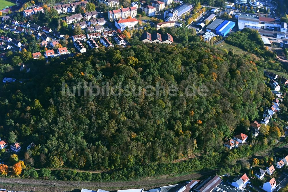 Luftbild Saarbrücken - Parkanlage Kaninchenberg in Saarbrücken im Bundesland Saarland, Deutschland