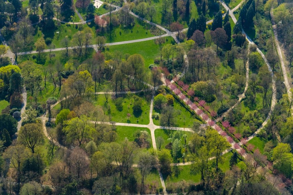Luftbild Dortmund - Parkanlage und Kirschblütenallee im Ortsteil Rombergpark in Dortmund im Bundesland Nordrhein-Westfalen, Deutschland