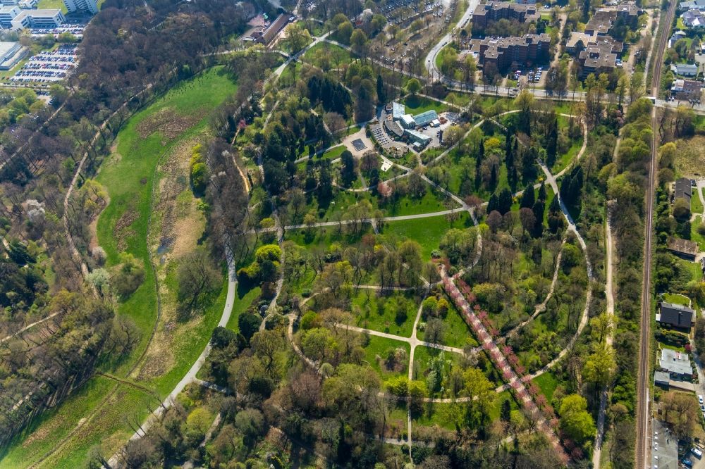 Dortmund von oben - Parkanlage und Kirschblütenallee im Ortsteil Rombergpark in Dortmund im Bundesland Nordrhein-Westfalen, Deutschland
