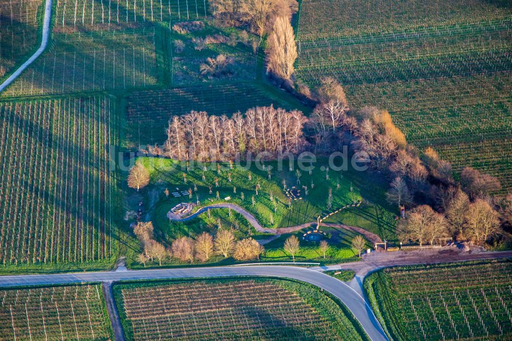 Luftaufnahme Flemlingen - Parkanlage Klima ARBORETUM in Flemlingen im Bundesland Rheinland-Pfalz, Deutschland