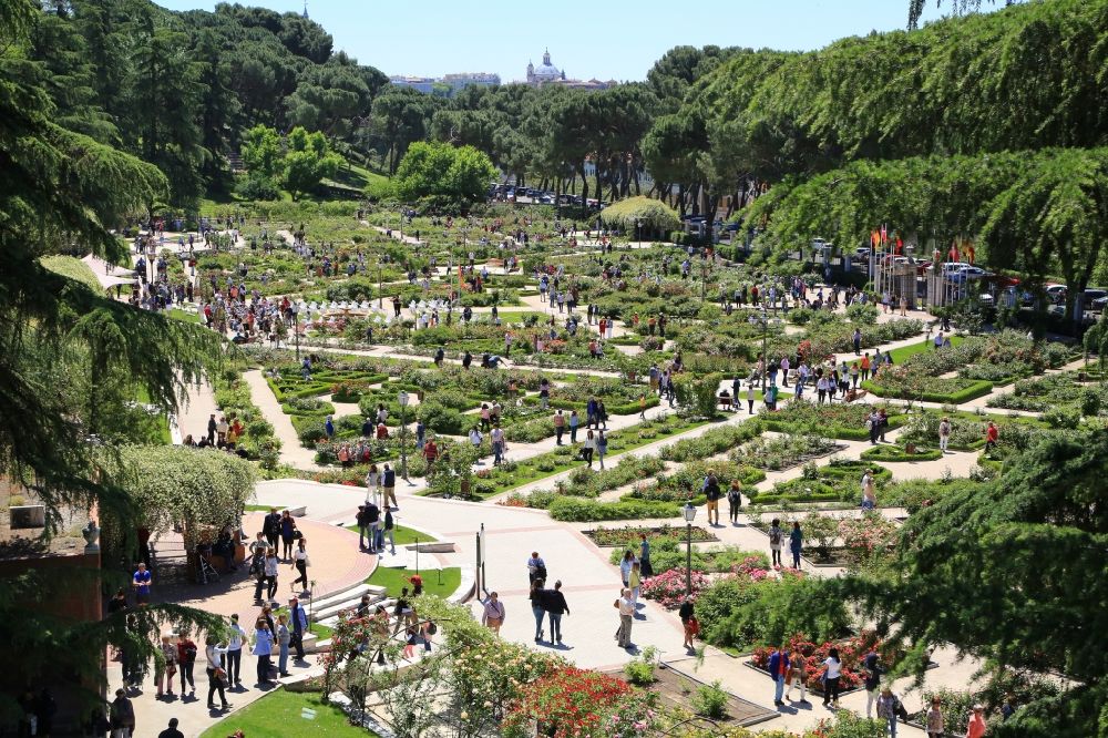 Madrid von oben - Parkanlage El Retiro Rose Garden ( Rosengarten, Rosarium ) im Oeste Park in Madrid in Comunidad de Madrid, Spanien