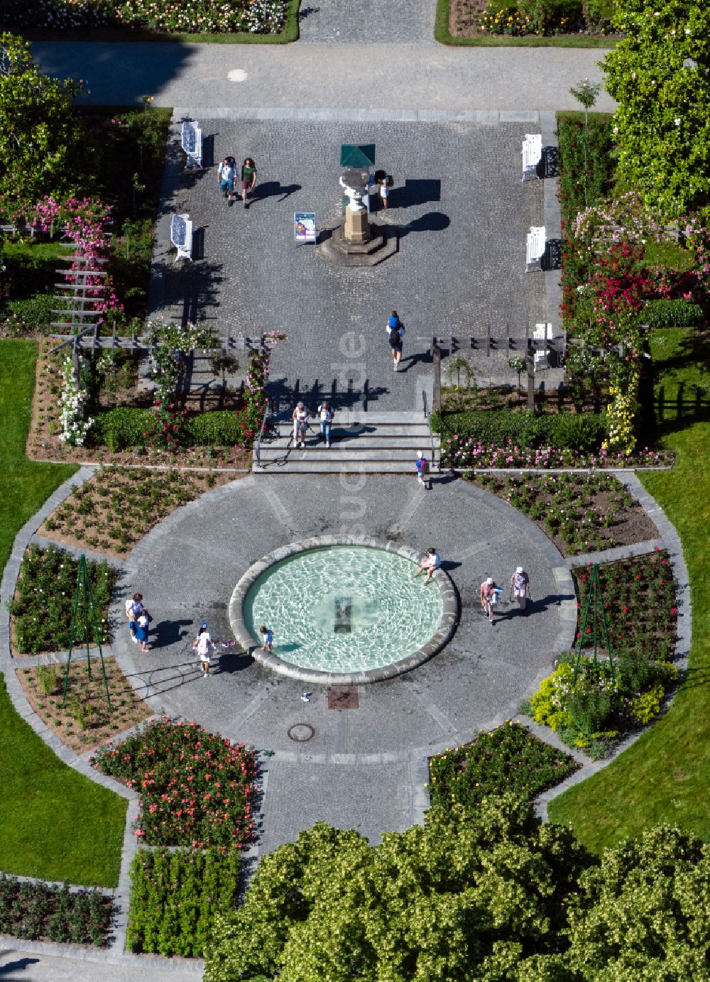 Luftbild Insel Mainau - Parkanlage Rosengarten in Insel Mainau im Bundesland Baden-Württemberg, Deutschland