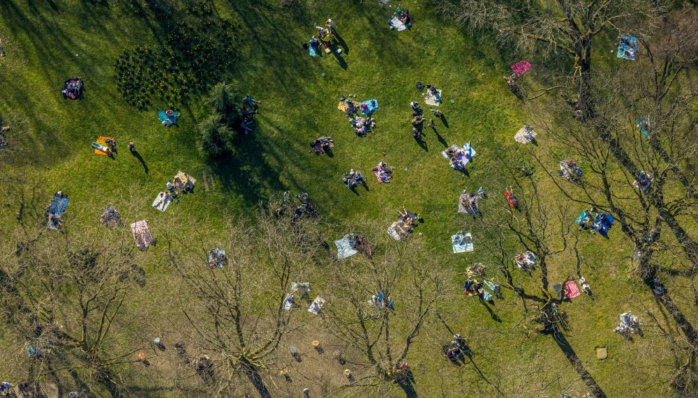 Dortmund von oben - Parkanlage mit sich sonnenden Menschen im Ortsteil Westpark in Dortmund im Bundesland Nordrhein-Westfalen, Deutschland