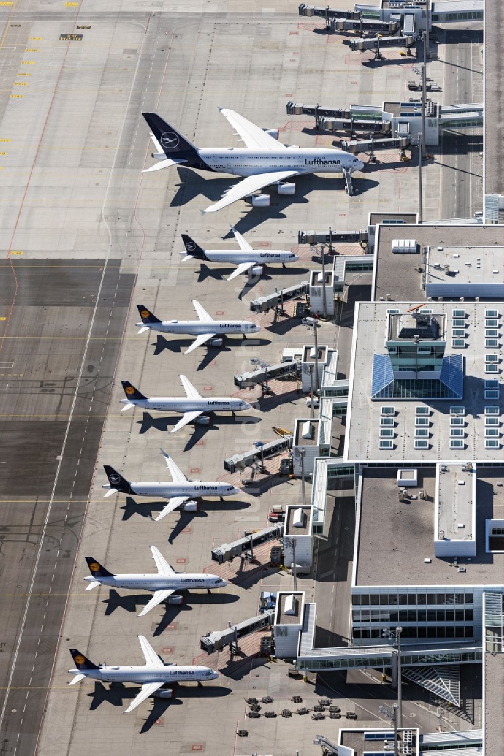 Luftbild München-Flughafen - Parkende Flugzeuge am Terminal, die aufgrund des Corona Lockdowns am Boden bleiben müssen, auf dem Gelände des Flughafen in München-Flughafen im Bundesland Bayern, Deutschland