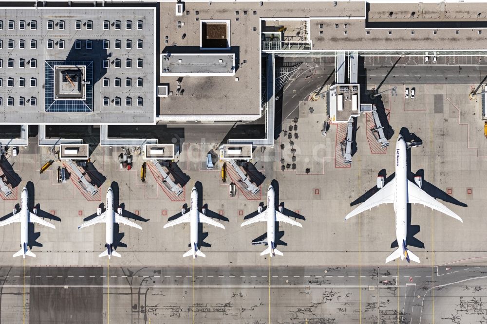 Luftbild München-Flughafen - Parkende Flugzeuge am Terminal, die aufgrund des Corona Lockdowns am Boden bleiben müssen, auf dem Gelände des Flughafen in München-Flughafen im Bundesland Bayern, Deutschland