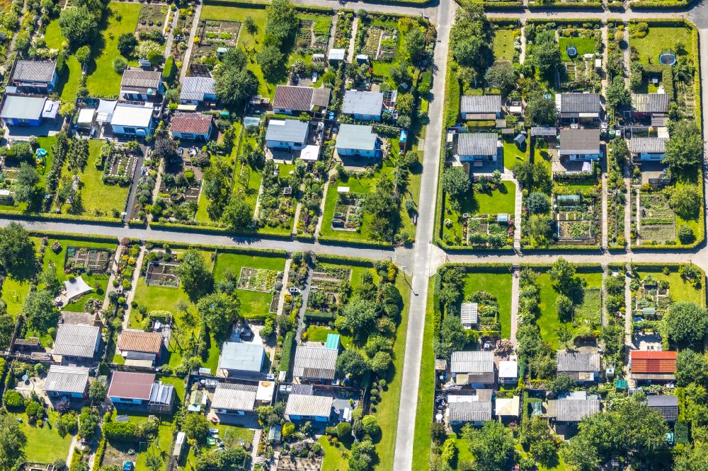 Luftbild Witten - Parzellen einer Kleingartenanlage des Kleingartenvereins Gemeinwohl in Witten im Bundesland Nordrhein-Westfalen, Deutschland