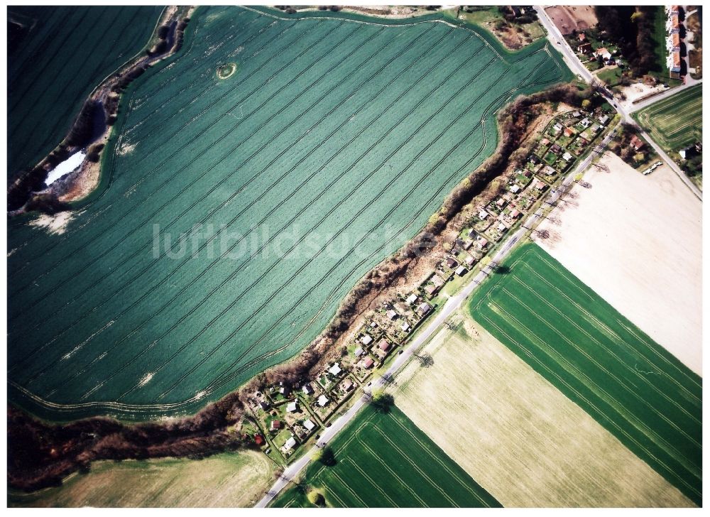 Luftbild Mehrow - Parzellen einer Kleingartenanlage in Mehrow im Bundesland Brandenburg, Deutschland