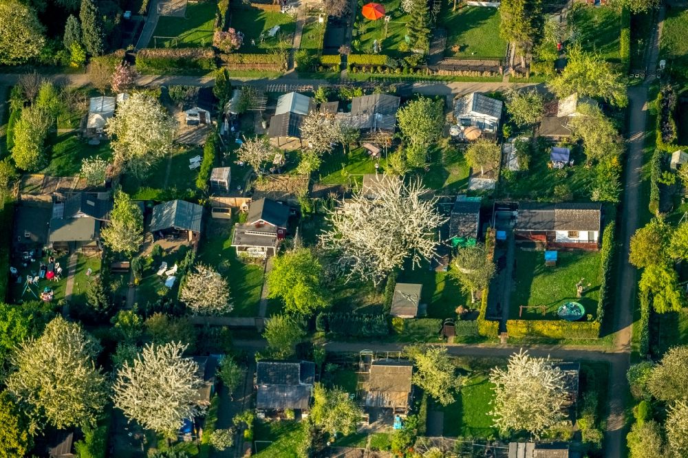 Luftbild Duisburg - Parzellen einer Kleingartenanlage Neumühler Straße im Ortsteil Meiderich-Beeck in Duisburg im Bundesland Nordrhein-Westfalen