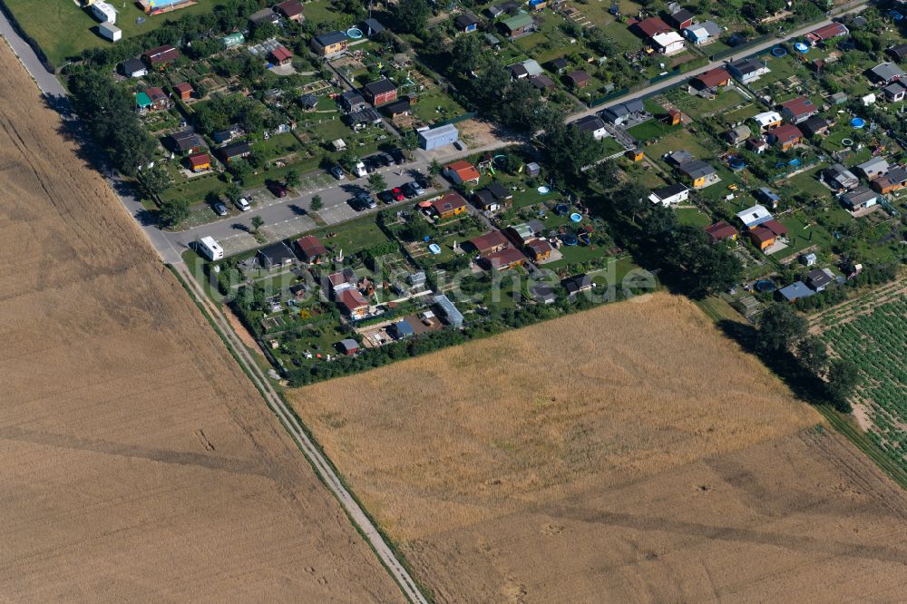Luftaufnahme Sankt Georgen - Parzellen einer Kleingartenanlage in Sankt Georgen im Bundesland Baden-Württemberg, Deutschland