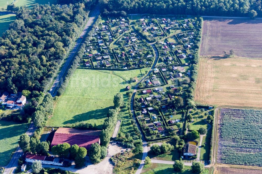 Luftbild Waghäusel - Parzellen einer Kleingartenanlage in Waghäusel im Bundesland , Deutschland