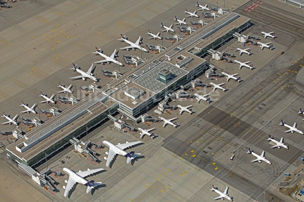 München-Flughafen von oben - Passagierflugzeuge krisenbedingt stillgelegt auf den Parkpositionen und Abstellfläche auf dem Flughafen in München im Bundesland Bayern, Deutschland
