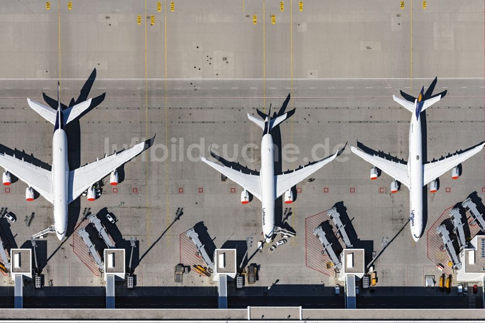 Luftbild München-Flughafen - Passagierflugzeuge der Lufthansa, aufgrund des Corona Lockdowns auf der Parkposition - Abstellfläche auf dem Flughafen in München-Flughafen im Bundesland Bayern, Deutschland