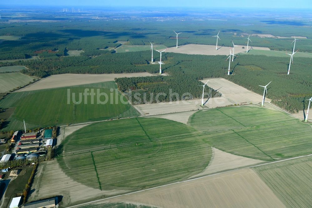 Feldheim von oben - Pivot- Bewässerungsanlage auf landwirtschaftlichen Feldern in Feldheim im Bundesland Brandenburg, Deutschland