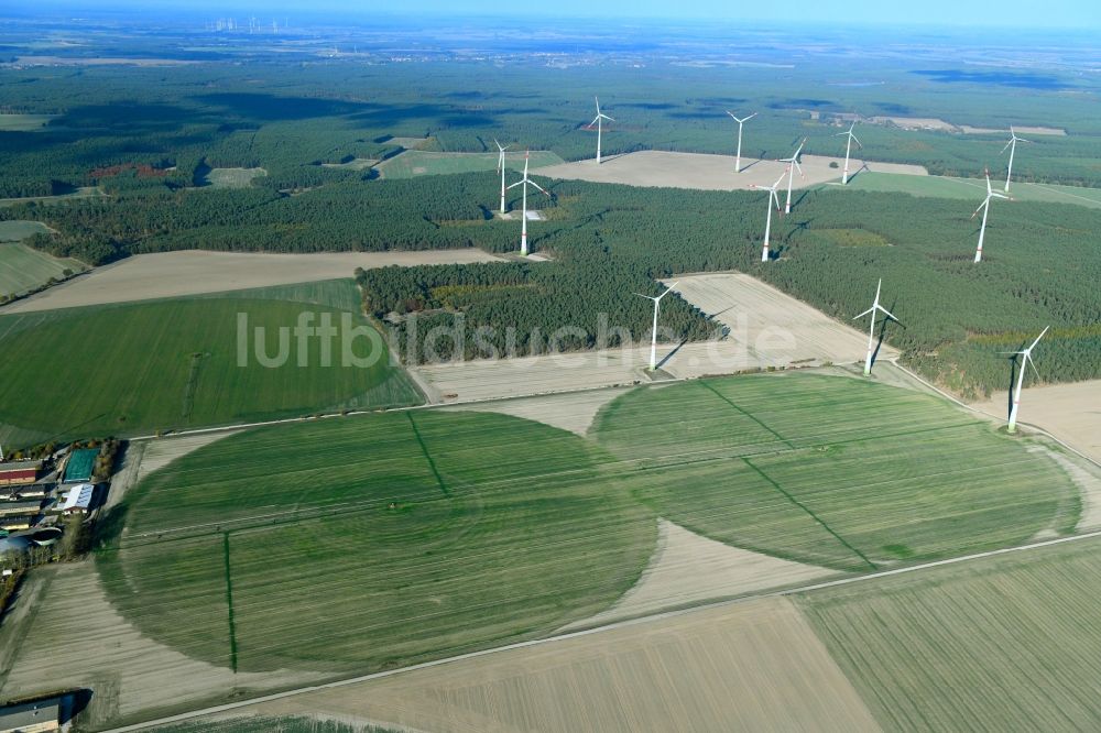 Feldheim aus der Vogelperspektive: Pivot- Bewässerungsanlage auf landwirtschaftlichen Feldern in Feldheim im Bundesland Brandenburg, Deutschland