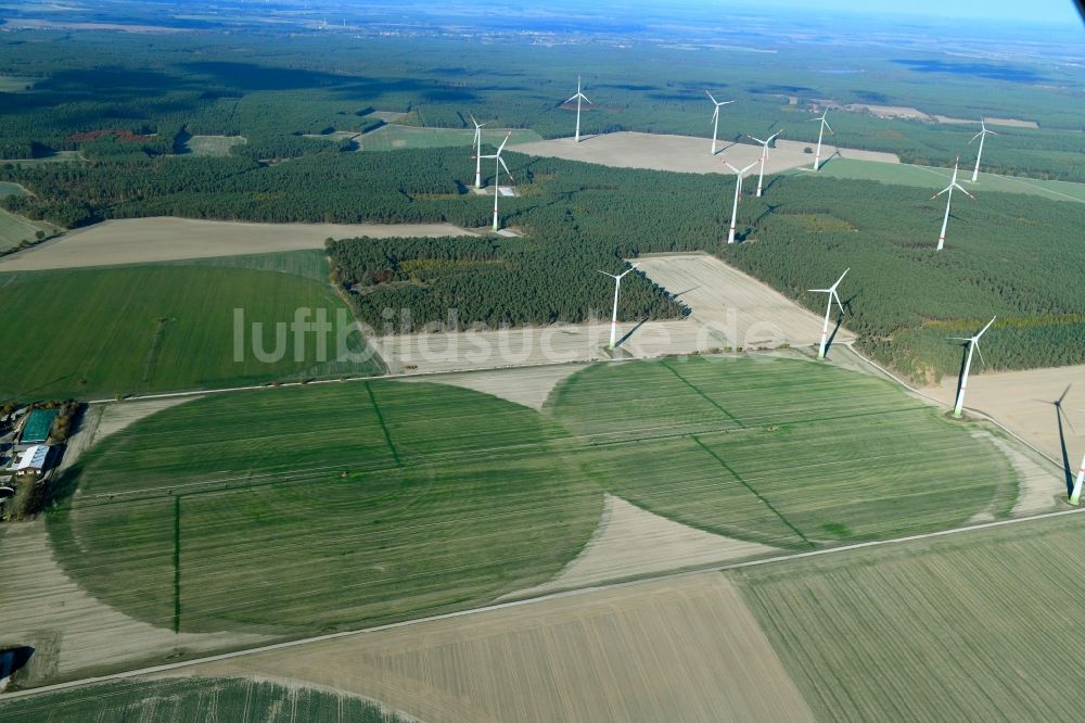 Luftbild Feldheim - Pivot- Bewässerungsanlage auf landwirtschaftlichen Feldern in Feldheim im Bundesland Brandenburg, Deutschland