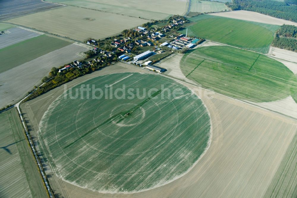 Feldheim von oben - Pivot- Bewässerungsanlage auf landwirtschaftlichen Feldern in Feldheim im Bundesland Brandenburg, Deutschland
