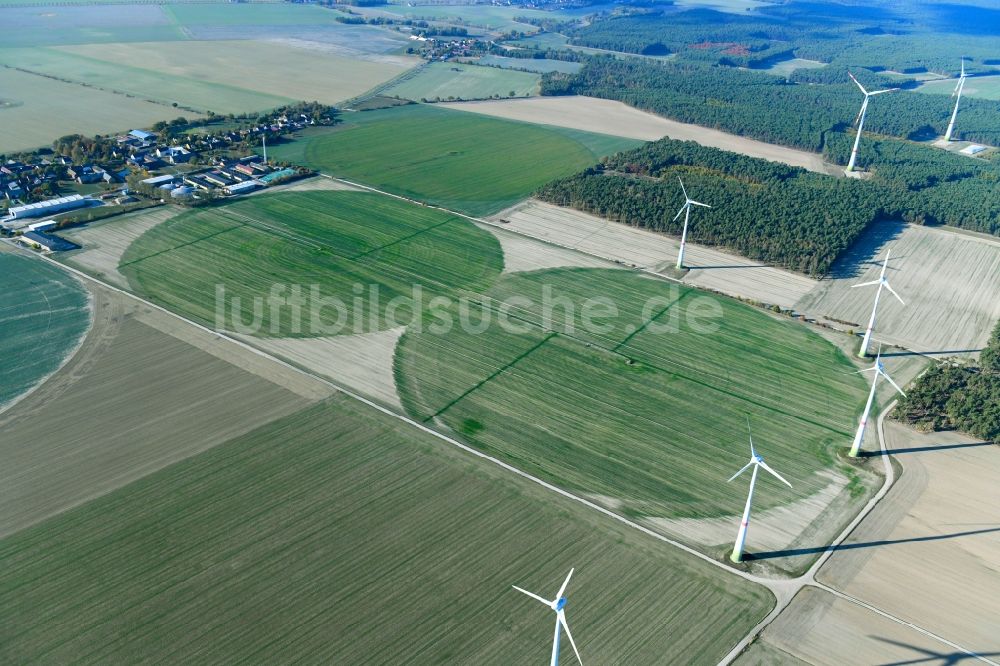 Luftbild Feldheim - Pivot- Bewässerungsanlage auf landwirtschaftlichen Feldern in Feldheim im Bundesland Brandenburg, Deutschland