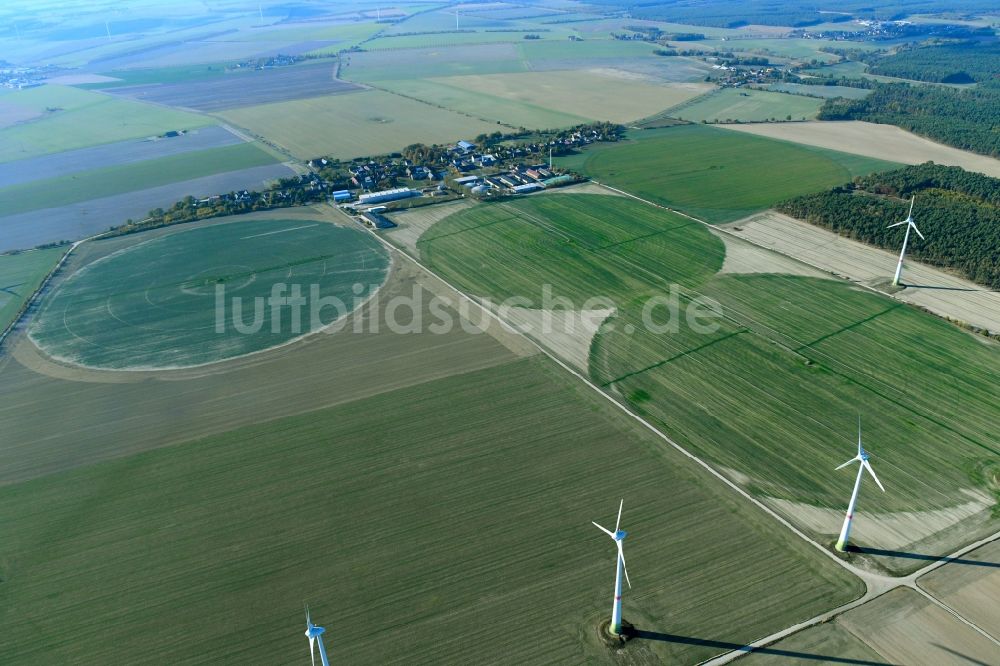 Luftaufnahme Feldheim - Pivot- Bewässerungsanlage auf landwirtschaftlichen Feldern in Feldheim im Bundesland Brandenburg, Deutschland