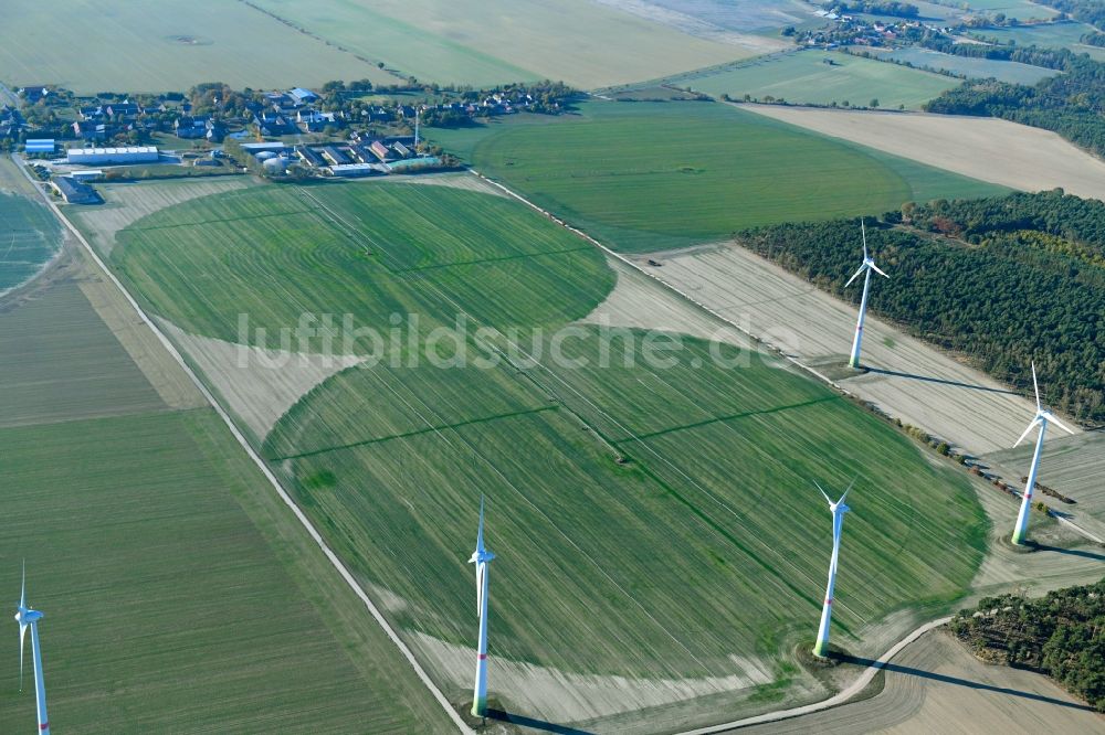 Feldheim aus der Vogelperspektive: Pivot- Bewässerungsanlage auf landwirtschaftlichen Feldern in Feldheim im Bundesland Brandenburg, Deutschland