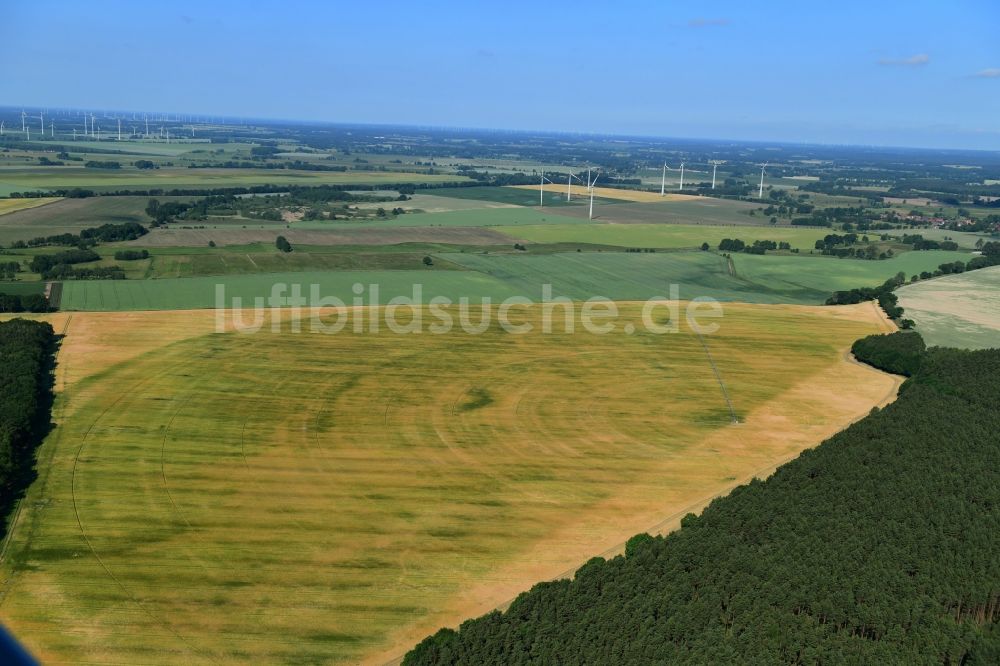 Luftaufnahme Wutike - Pivot- Bewässerungsanlage auf landwirtschaftlichen Feldern in Wutike im Bundesland Brandenburg, Deutschland