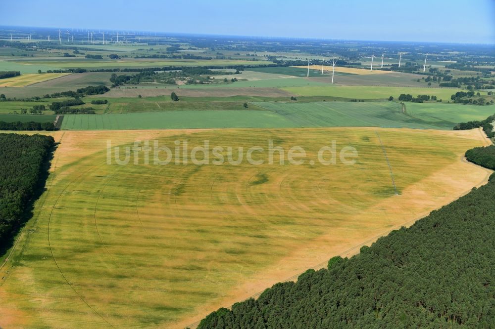 Wutike von oben - Pivot- Bewässerungsanlage auf landwirtschaftlichen Feldern in Wutike im Bundesland Brandenburg, Deutschland