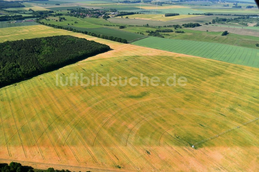 Wutike aus der Vogelperspektive: Pivot- Bewässerungsanlage auf landwirtschaftlichen Feldern in Wutike im Bundesland Brandenburg, Deutschland